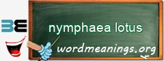 WordMeaning blackboard for nymphaea lotus